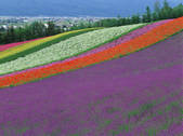 tkf003_551688