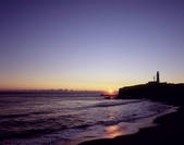 tkf003_557001