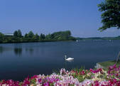 tkf003_557641