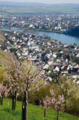 tkf003_560778