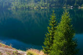 tkf003_560965