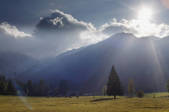 tkf003_564327