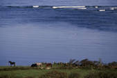 tkf003_640084