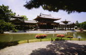 tkf003_643442