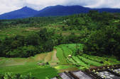 tkf003_647475