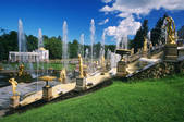 tkf003_654713