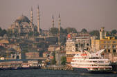 tkf003_654770