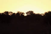 tkf003_659782