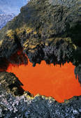 tkf003_662087
