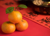 tkf003_678308