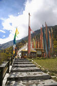 tkf003_683737