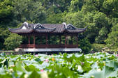tkf003_685442