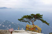 tkf003_687034