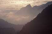 tkf003_716340