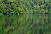 tkf003_787171