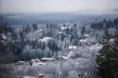 tkf003_801790