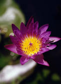 tkf003_805400