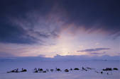 tkf003_809484