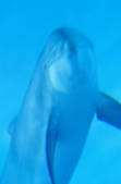 tkf003_810725