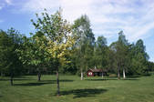 tkf003_811079