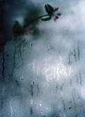 tkf003_812352