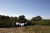 tkf003_817251