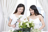 tkf003_958285