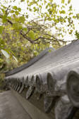 tkf003_970564