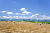 tkf003_980428