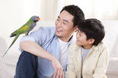 tkf003_998403