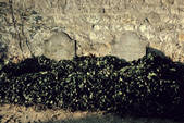 tkm001_177012