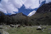 tkm001_470611