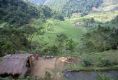tkm001_485900