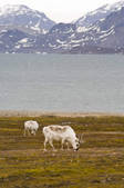 tkm001_495451