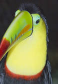 tkm001_508564
