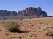 tkm001_523645