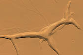 tkm001_538161