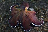 tkm001_538602