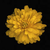 tkm001_540011