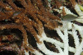 tkm001_540199