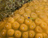 tkm001_540529