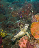 tkm001_540575