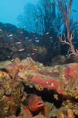 tkm001_540576