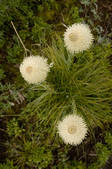tkm001_540692