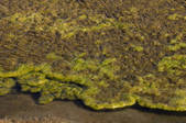 tkm001_541166