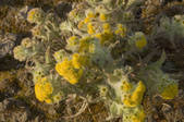 tkm001_541199