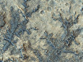 tkm001_541492