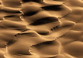 tkm001_541501
