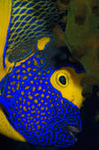 tkm001_542647