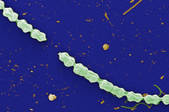 tkm001_544855
